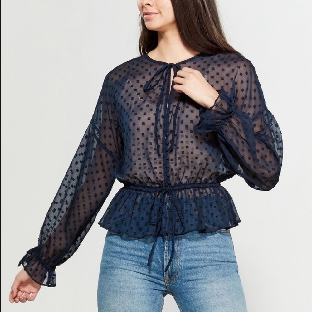 Walter Baker Sheer Blouse